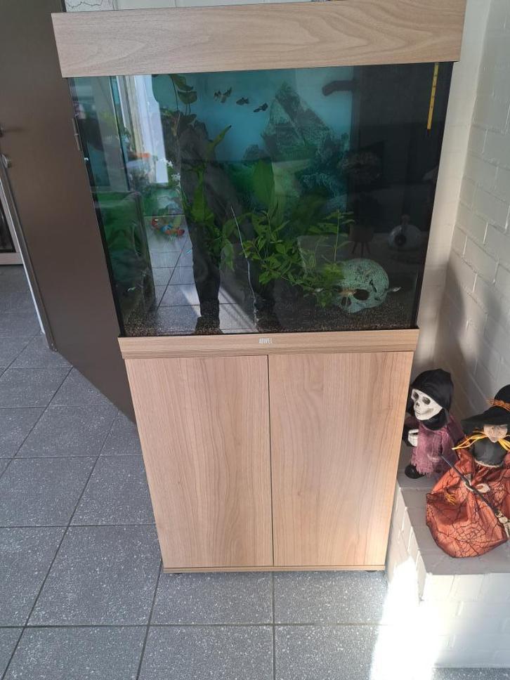 Juwel lido 120, Dieren en Toebehoren, Vissen | Aquaria en Toebehoren, Zo goed als nieuw, Leeg aquarium, Ophalen