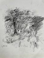 Godfried Vervisch, Antiek en Kunst, Kunst | Tekeningen en Fotografie, Ophalen