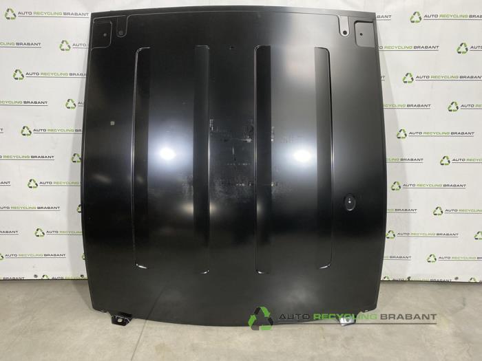 Dak van een Ford Transit, Auto-onderdelen, Carrosserie, Gebruikt, 3 maanden garantie, Ophalen of Verzenden