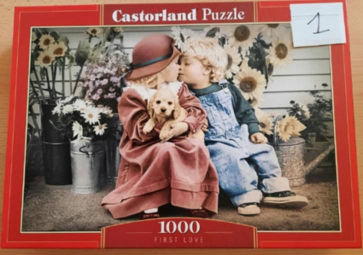 Puzzels 1000 stukjes, Hobby en Vrije tijd, Denksport en Puzzels, Gebruikt, Legpuzzel, 500 t/m 1500 stukjes, Ophalen