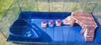 Grote kooi voor knaagdier – 122 x 58 x 43 cm, Kooi, 110 cm of meer, Zo goed als nieuw, Konijn