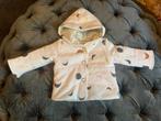 Gewatteerd jasje Hema mt 62 NIEUW, Kinderen en Baby's, Babykleding | Maat 62, Nieuw, Jasje, Ophalen of Verzenden, Jongetje of Meisje