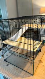 Hamster kooi 38 diep- 59 breed 47 hoog, Dieren en Toebehoren, Ophalen, Zo goed als nieuw