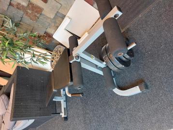 Bodysolid powerline beenverlengmachine met gewichten  beschikbaar voor biedingen