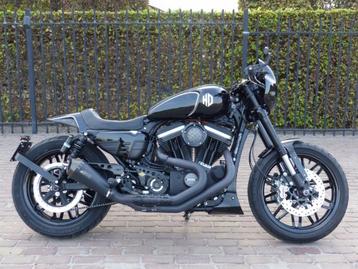 Harley Roadster 1200