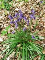 Cherche bonne terre  arable à donner, Ophalen of Verzenden, Tuinaarde