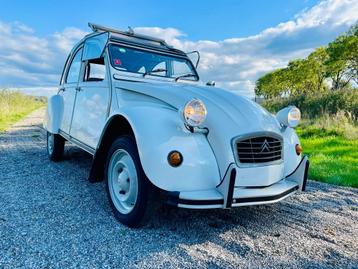 2cv6 Club blanc meije 10-1990 8.800 km 1e eig. beschikbaar voor biedingen