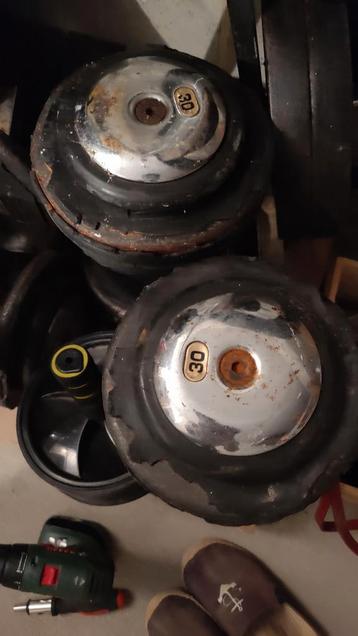 Halterparen van 30 kg beschikbaar voor biedingen