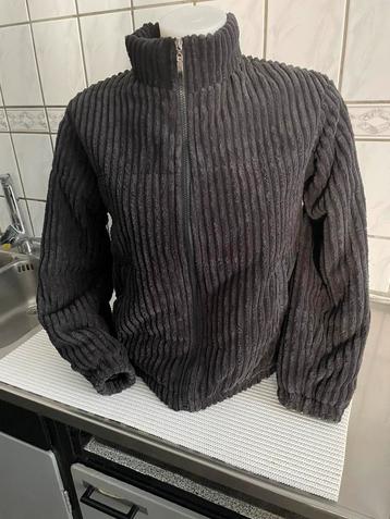 Veste femmes beschikbaar voor biedingen