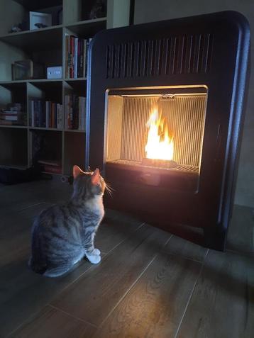 Pelletkachel MCZ CUTE Air 8 M1+ 8 kW beschikbaar voor biedingen