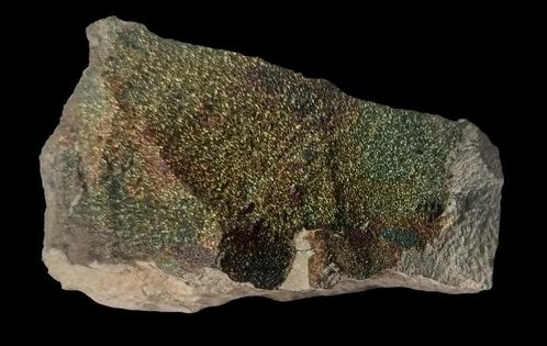 PYRIET op SEPTARIA uit Steendorp, België, Verzamelen, Mineralen en Fossielen, Mineraal, Ophalen of Verzenden