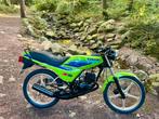 Kawasaki AR50, Motoren, Particulier