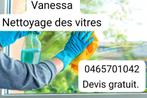 Nettoyage des vitres