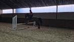 Springpony te koop, Dieren en Toebehoren, Merrie, M