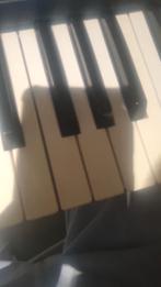 Korg pa600, Musique & Instruments, Orgues, Enlèvement, Utilisé, 1 clavier, Orgue