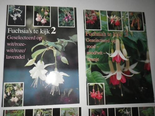Fuchsia's te kijk, Tuin en Terras, Planten | Tuinplanten, Vaste plant, Overige soorten, Ophalen