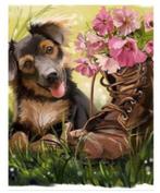 Diamond Painting - Hond Met Schoen - 40 x 30 Cm, Ophalen of Verzenden, Nieuw, Knutselwerk