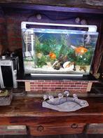 Aquarium 120 Litres, Ophalen, Zo goed als nieuw, Gevuld zoetwateraquarium