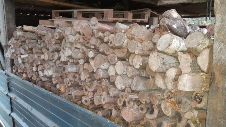 Droog brandhout, thuis geleverd (180EUR voor 2m³), Tuin en Terras, Brandhout, Blokken, Overige houtsoorten, 3 tot 6 m³, Verzenden