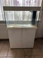 Aquarium Juwel Rio 125, Ophalen, Zo goed als nieuw, Leeg aquarium