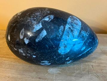 Œuf fossile de plus de 800 grammes, Collections, Enlèvement ou Envoi