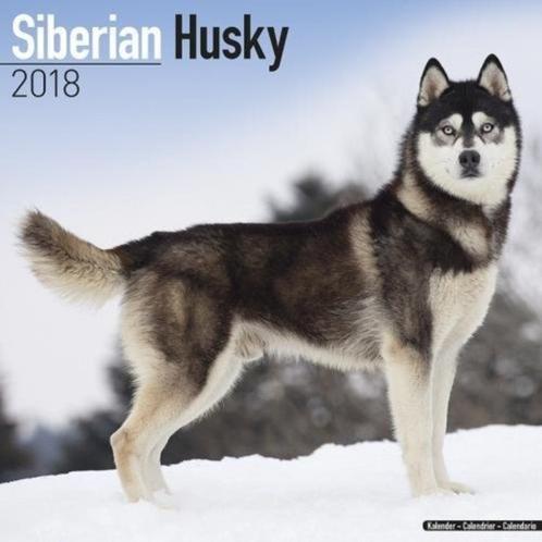 Calendrier Husky Sibérien 2018, Divers, Calendriers, Neuf, Calendrier annuel, Envoi