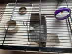 Hamsterkooi, Kooi, Gebruikt, Minder dan 75 cm, Hamster