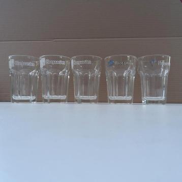 5 Hoegaarden retro bierglazen in dik glas. 0,25 cl. beschikbaar voor biedingen