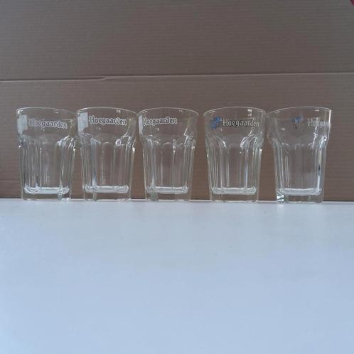 5 Hoegaarden retro bierglazen in dik glas. 0,25 cl., Verzamelen, Biermerken, Gebruikt, Ophalen of Verzenden