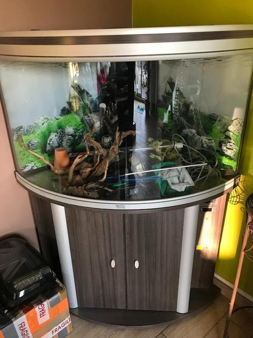 Hoekaquarium van 190 liter, Dieren en Toebehoren, Vissen | Aquaria en Toebehoren, Zo goed als nieuw, Ophalen