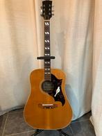 Akoestische gitaar. Jaren 70. Diastone (Japan), Musique & Instruments, Instruments à corde | Guitares | Acoustiques, Enlèvement