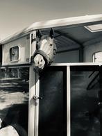 Ifor Williams paardentrailer - TE HUUR, Ophalen, Zo goed als nieuw, Aluminium, 2-paards trailer