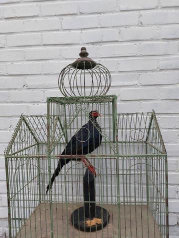 Antieke vogelkooi beschikbaar voor biedingen