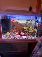 draaiend aquarium te koop, Animaux & Accessoires, Poissons | Aquariums & Accessoires, Enlèvement, Comme neuf