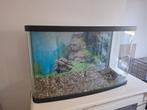 Aquarium 100liter, Dieren en Toebehoren, Ophalen, Zo goed als nieuw