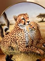 Verzamelbord Franklin Mint jachtluipaard of jaguar kittens, Antiek en Kunst, Ophalen of Verzenden