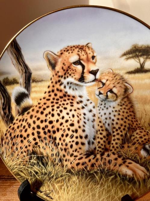 Verzamelbord Franklin Mint jachtluipaard of jaguar kittens, Antiek en Kunst, Antiek | Porselein, Ophalen of Verzenden