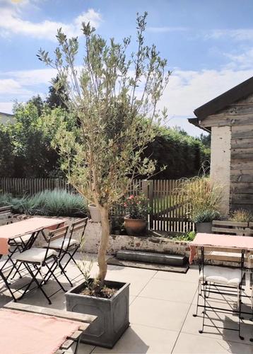 Terrastegel, Enlèvement, Utilisé, Céramique, Tuiles de terrasse