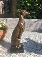 pracht statig hond windhond greyhound whippet brons, Antiek en Kunst, Ophalen of Verzenden