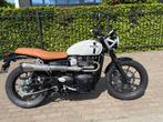 Triumph Street Twin 900, 2 cilinders, Bedrijf, 900 cc, Meer dan 35 kW