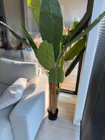 Kunstplant bananenboom, Ophalen, Zo goed als nieuw