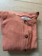 Vestje Milla star maat 110, Enlèvement ou Envoi, Pull ou Veste, Utilisé, JBC.