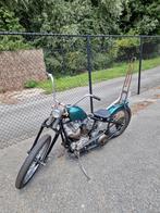 Early shovel, Motoren, Particulier