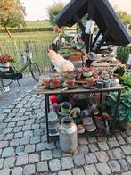 Tekoop, Dieren en Toebehoren, Ophalen of Verzenden