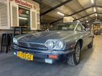 Jaguar - XJS - Cabriolet V12 5.3, Achat, Entreprise, Cabriolet, Autres carburants