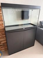 Aquarium 200L, Animaux & Accessoires, Enlèvement