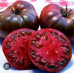 Verschillende soorten Bio tomatenplanten, per stuk voor 1 eu, Tuin en Terras, Planten | Tuinplanten, Ophalen