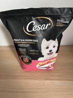 Hondenbrokken, Dieren en Toebehoren, Ophalen of Verzenden, Hond