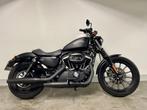 Harley-Davidson SPORTSTER XL883N IRON (bj 2013), Motoren, Motoren | Harley-Davidson, 883 cc, Meer dan 35 kW, Overig