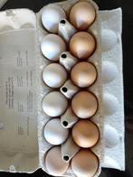 Dagelijks verse eieren